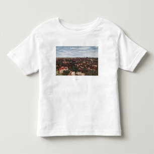Antennen beskådar av staden t shirt