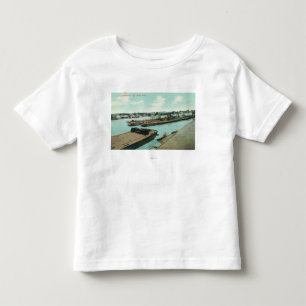 Antennen beskådar av stranden t shirt