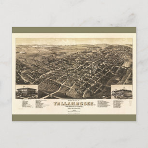 Antennen beskådar av Tallahassee, Florida (1885) Vykort