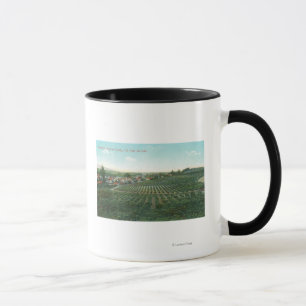 Antennen beskådar av townen, Sonoma County från Mugg