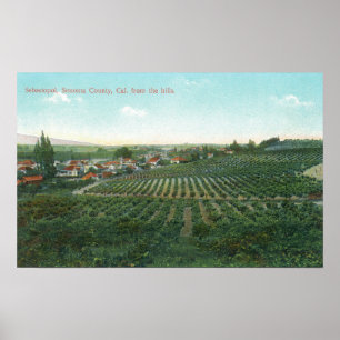 Antennen beskådar av townen, Sonoma County från Poster