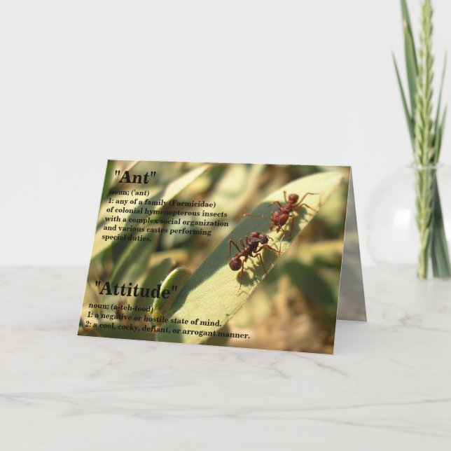 Anter och attityder - hälsningskort nr 2 kort (Framsida)