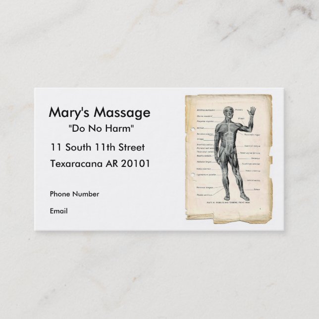 Anterior anatomi tidsbeställning kort (Framsida)