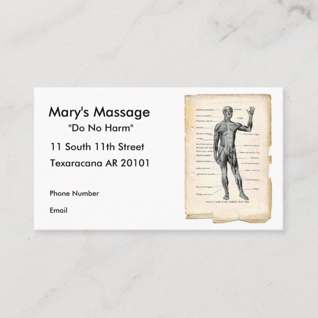 Anterior anatomi tidsbeställning kort (Framsida)