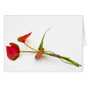 Anthurium-blomma Hälsningskort