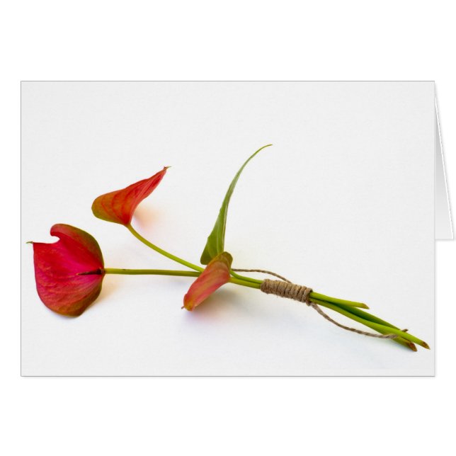 Anthurium-blomma Hälsningskort (Framsidan Horizontal)