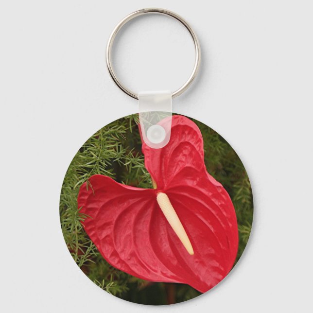 Anthurium-blomma i blomning nyckelring (Framsida)