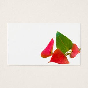 Anthurium-blomma Visitkort