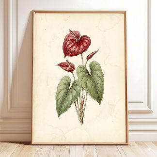 Anthurium Botaniskt Tryck Farmhouse Dekoration