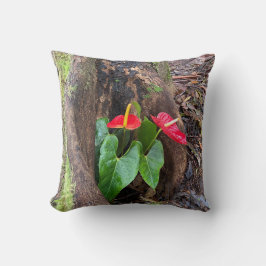 Anthurium Kudde