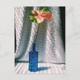 anthurium och blå flaska stilleben vykort
