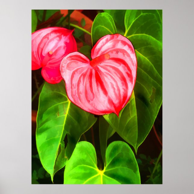 Anthurium Plant Poster (Framsidan)