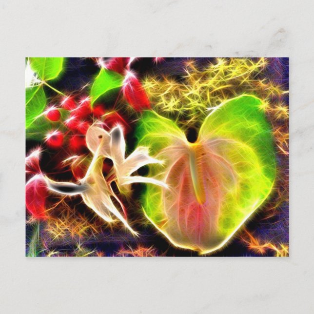 Anthurium Vykort (Framsida)