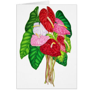 Anthuriums Hälsningskort