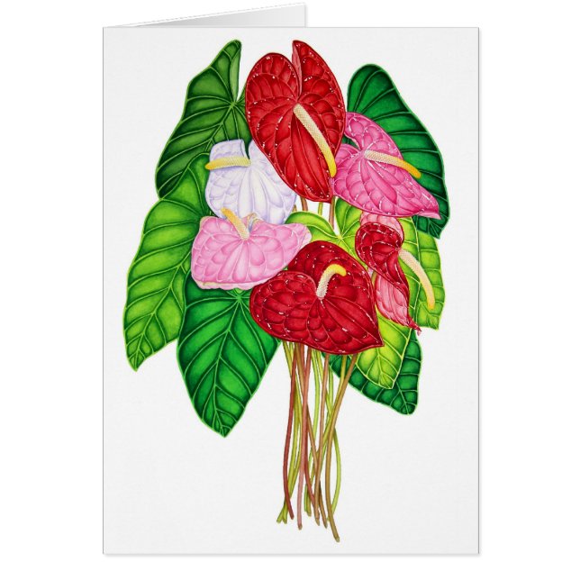Anthuriums Hälsningskort (Framsidan)