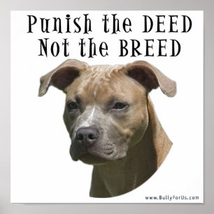 Anti-BSL bestraffa gärningen, inte avelaffischen Poster