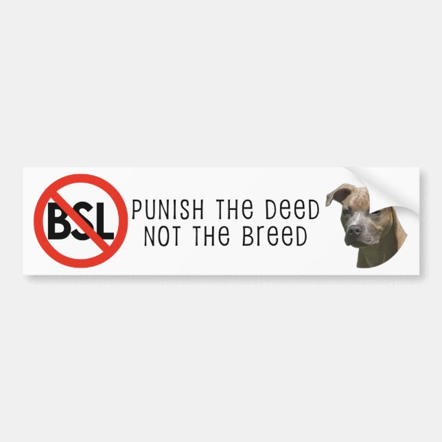 Anti-BSL bildekal (Framsidan)