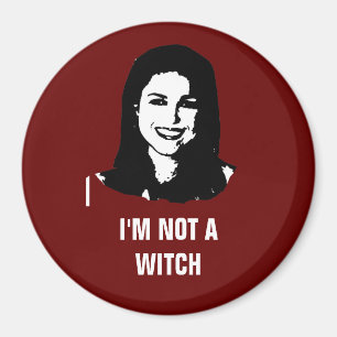 Anti Christine O'Donnell Magnet