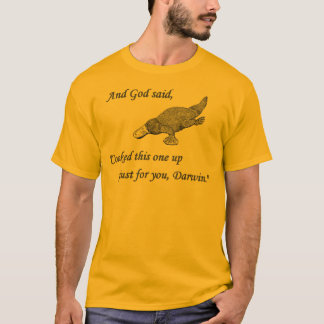 Anti-Evolution Tee Shirt