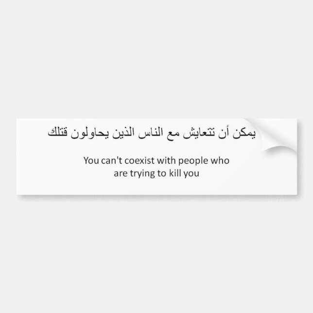 Anti-Finns till samtidigt Bildekal (Framsidan)