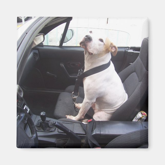 Anti Michael Vick Magnet (Framsidan)