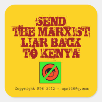 Anti Obama Fyrkantigt Klistermärke