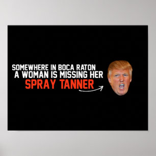 Anti-Trumf - en kvinna är saknad hon sprejtanneren Poster