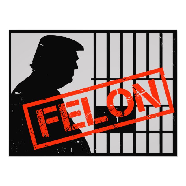 Anti Trump Felon Convicted 20-24 Years for Prison Fototryck (Framsidan)
