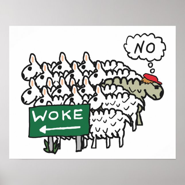 Anti Woke Poster (Framsidan)