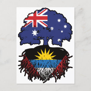 Antigua Antiguan Australian Australian Träd Roots Vykort