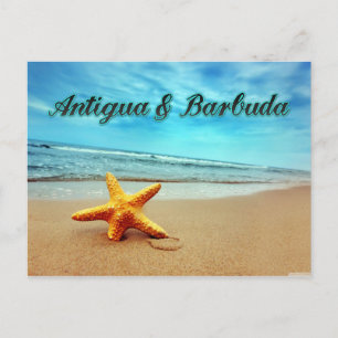 Antigua & Barbuda starfish Vykort