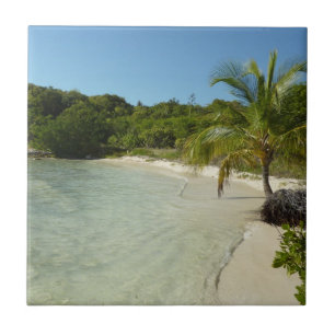 Antiguan Beach Bevackert tropiskt liggande Kakelplatta