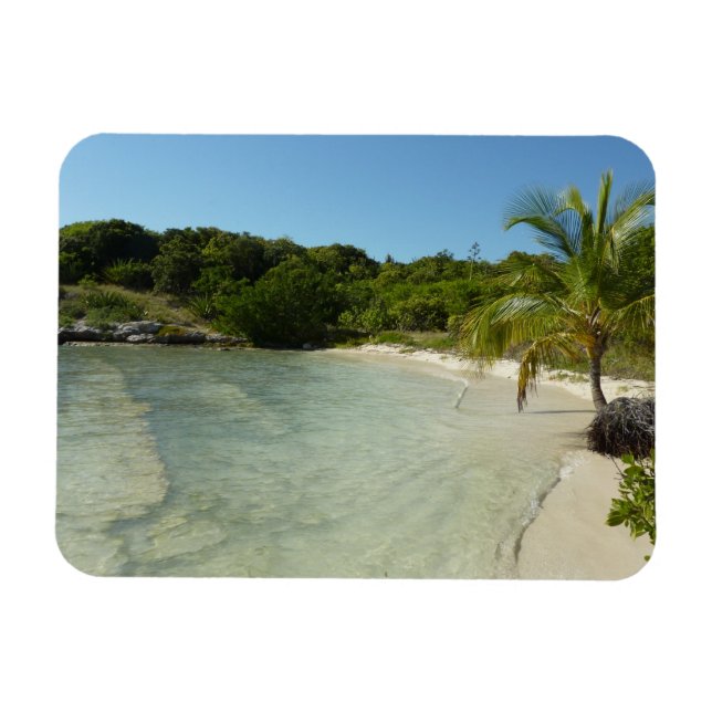 Antiguan Beach Bevackert tropiskt liggande Magnet (Horisontell)