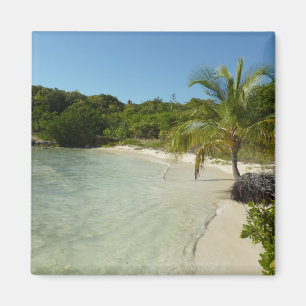 Antiguan Beach Bevackert tropiskt liggande Magnet