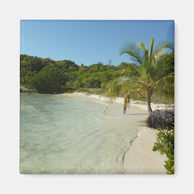 Antiguan Beach Bevackert tropiskt liggande Magnet (Framsidan)