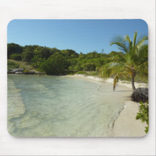 Antiguan Beach Bevackert tropiskt liggande Musmatta