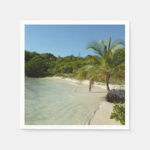 Antiguan Beach Bevackert tropiskt liggande Pappersservett