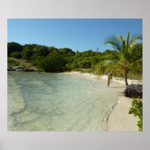 Antiguan Beach Bevackert tropiskt liggande Poster