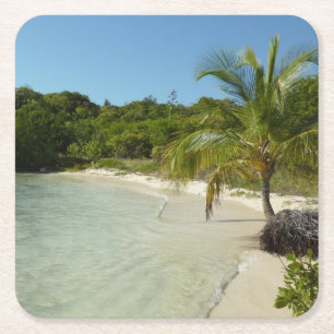 Antiguan Beach Bevackert tropiskt liggande Underlägg Papper Kvadrat