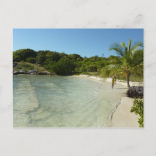 Antiguan Beach Bevackert tropiskt liggande Vykort