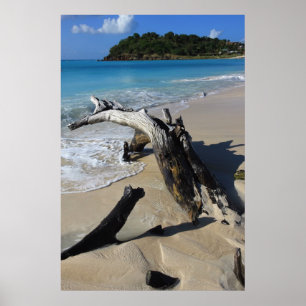 Antiguastranden Poster