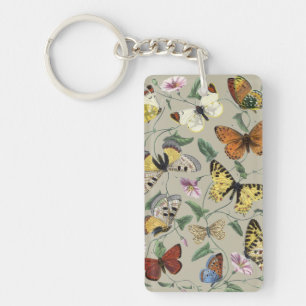 Antik 1842 Fjäril Moth Botanisk Blommig Konst