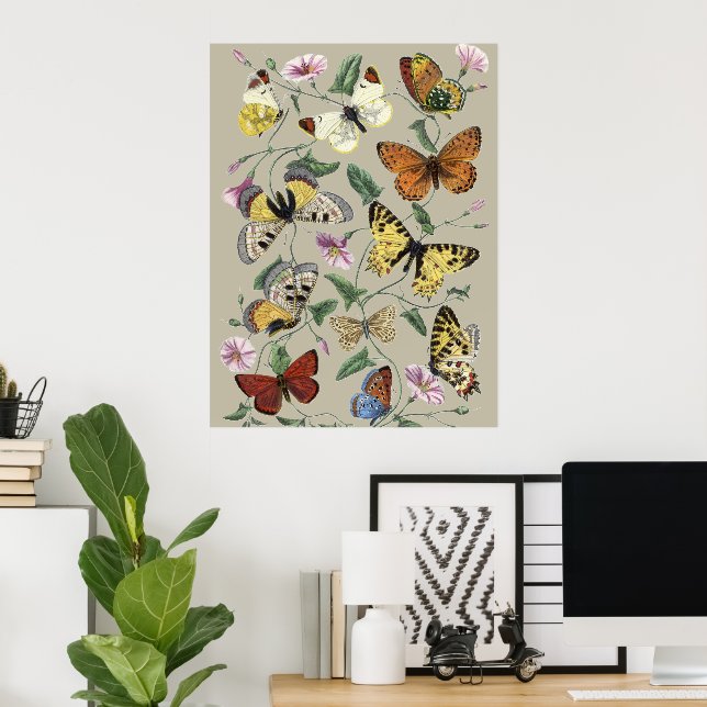 Antik 1842 Fjäril Moth Botanisk Blommig Konst Poster (Hemmakontoret)