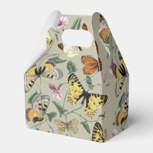 Antik 1842 Fjäril Moth Botanisk Blommig Konst Presentaskar
