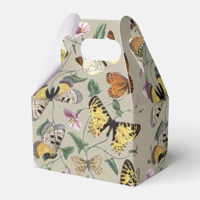 Antik 1842 Fjäril Moth Botanisk Blommig Konst Presentaskar (Framsidan Sidan)