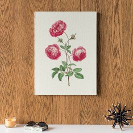 Antik akvarell botanisk tryck