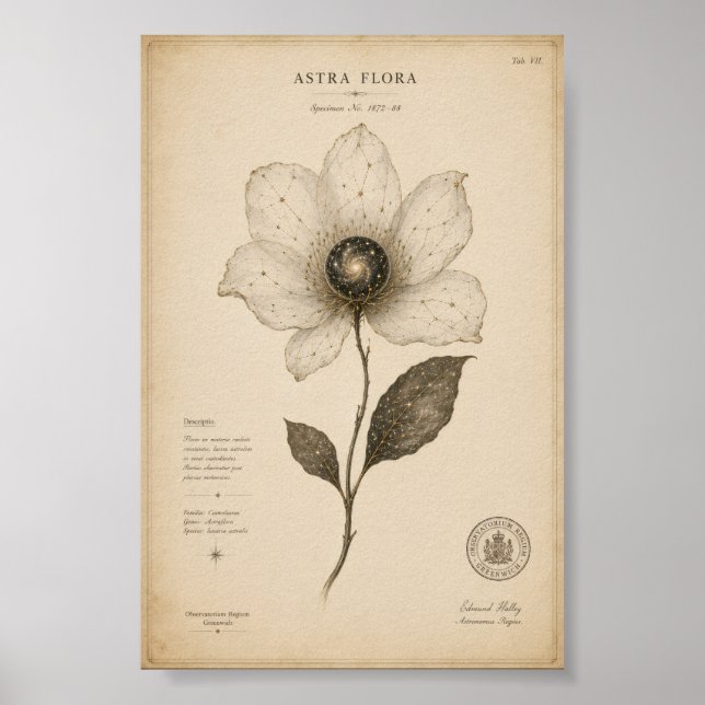 Antik Astronomi Blommig Väggkonst (Framsidan)