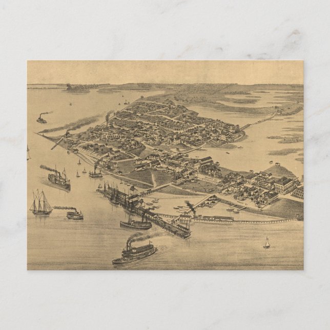 Antik bildkarta över Cedar Key FL (1884) Vykort (Framsida)