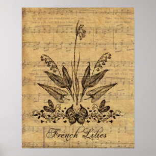 Antik botanisk fransk Lillies Poster