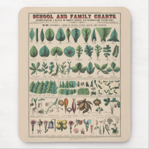 Antik botanisk skolplanschart vintage natur musmatta
